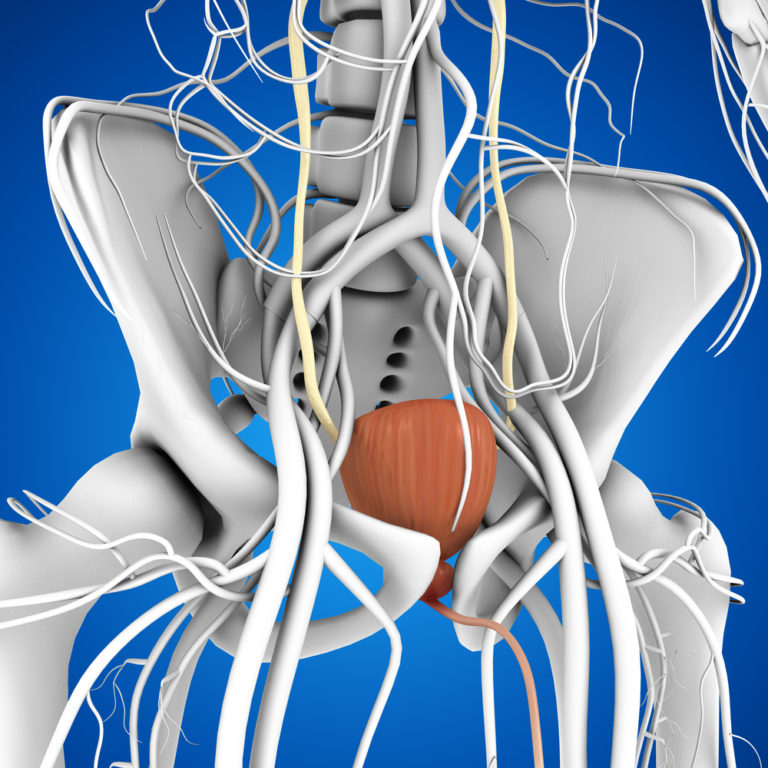 Physiotherapy For Overactive Bladder Pure Pelvic Health